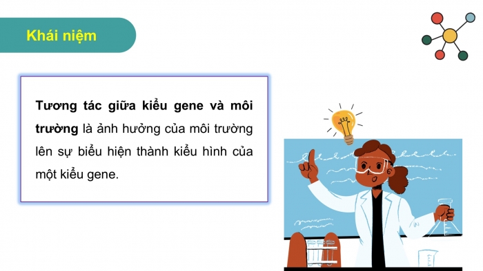 Giáo án điện tử Sinh học 12 cánh diều Bài 10: Mối quan hệ giữa kiểu gene, môi trường và kiểu hình