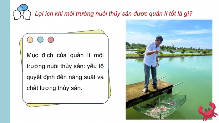 Giáo án điện tử Công nghệ 12 Lâm nghiệp - Thủy sản Kết nối Bài 11: Quản lí môi trường nuôi thuỷ sản