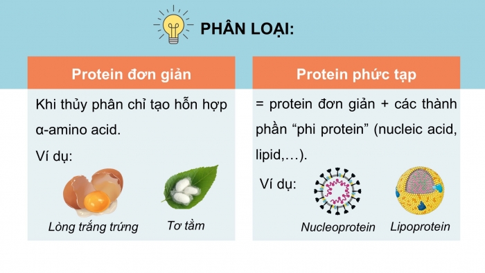 Giáo án điện tử Hoá học 12 kết nối Bài 10: Protein và enzyme