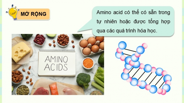 Giáo án điện tử Hóa học 12 cánh diều Bài 6: Amino acid