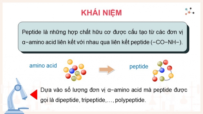 Giáo án điện tử Hóa học 12 cánh diều Bài 7: Peptide, protein và enzyme