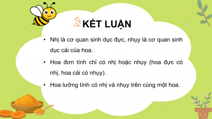 Giáo án điện tử Khoa học 5 chân trời Bài 13: Sự sinh sản của thực vật có hoa