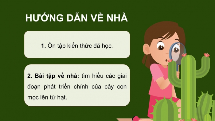 Giáo án điện tử Khoa học 5 chân trời Bài 14: Sự lớn lên và phát triển của thực vật