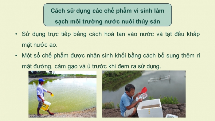 Giáo án điện tử chuyên đề Công nghệ 12 Lâm nghiệp Thuỷ sản Kết nối Bài 9: Ứng dụng công nghệ sinh học trong quản lí môi trường nước nuôi thuỷ sản