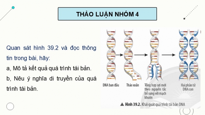 Giáo án điện tử KHTN 9 chân trời - Phân môn Sinh học Bài 39: Quá trình tái bản, phiên mã và dịch mã