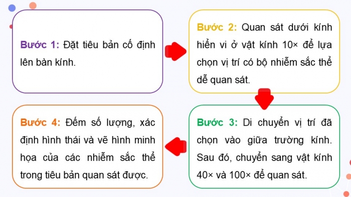 Giáo án điện tử KHTN 9 chân trời - Phân môn Sinh học Bài 42: Thực hành Quan sát tiêu bản nhiễm sắc thể