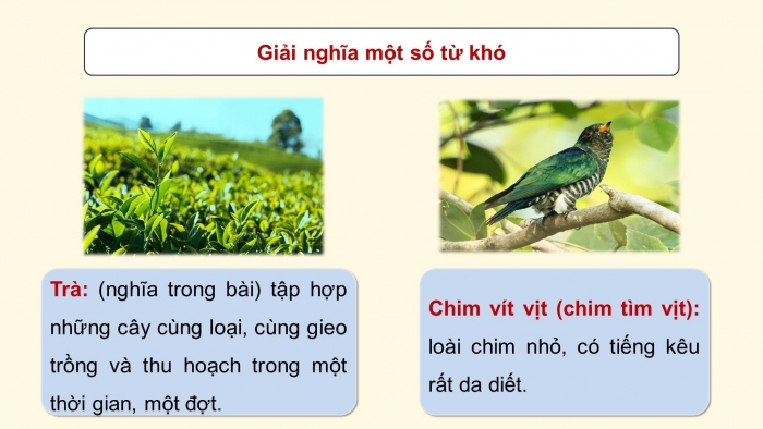 Giáo án điện tử Tiếng Việt 5 chân trời Bài 8: Hãy lắng nghe