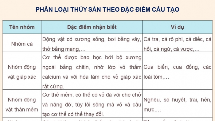 Giáo án điện tử Công nghệ 12 Lâm nghiệp - Thủy sản Kết nối Bài 9: Các nhóm thuỷ sản và một số phương thức nuôi phố biến