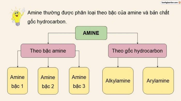 Giáo án điện tử Hoá học 12 chân trời Bài 6: Amine