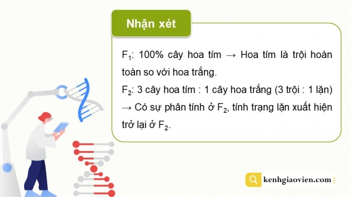 Giáo án điện tử Sinh học 12 cánh diều Bài 7: Di truyền học Mendel và mở rộng học thuyết Mendel