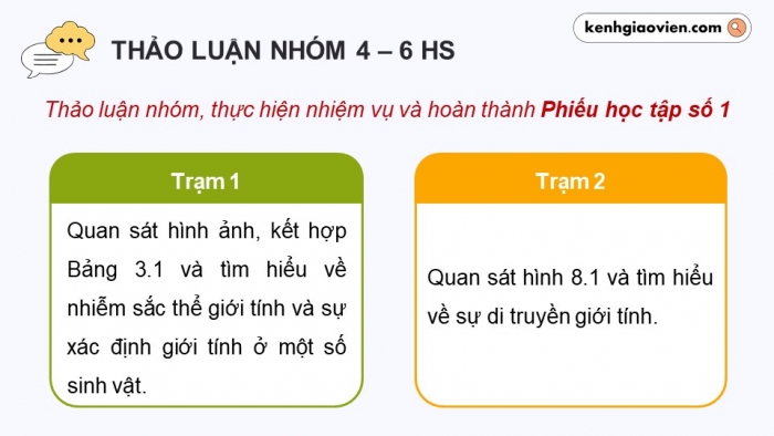 Giáo án điện tử Sinh học 12 cánh diều Bài 8: Di truyền liên kết giới tính, liên kết gene và hoán vị gene