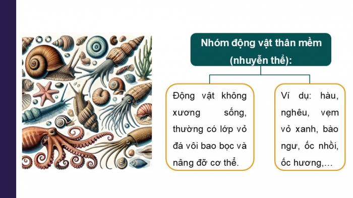 Giáo án điện tử Công nghệ 12 Lâm nghiệp Thủy sản Cánh diều Bài 10: Các nhóm thuỷ sản và phương thức nuôi phổ biến