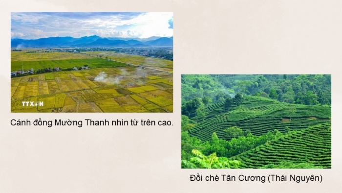 Giáo án điện tử Địa lí 9 cánh diều Bài 9: Vùng Trung du và miền núi Bắc Bộ (P2)