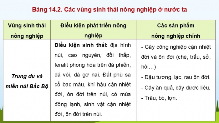 Giáo án điện tử Địa lí 12 chân trời Bài 14: Tổ chức lãnh thổ nông nghiệp