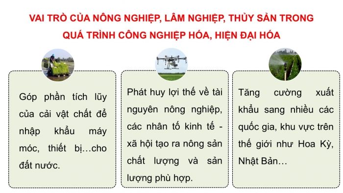 Giáo án điện tử Địa lí 12 chân trời Bài 15: Thực hành Tìm hiểu vai trò, tình hình phát triển và chuyển dịch cơ cấu ngành nông nghiệp, lâm nghiệp, thuỷ sản