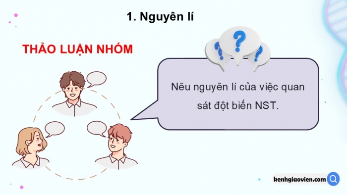 Giáo án điện tử Sinh học 12 kết nối Bài 14: Thực hành Quan sát một số dạng đột biến nhiễm sắc thể