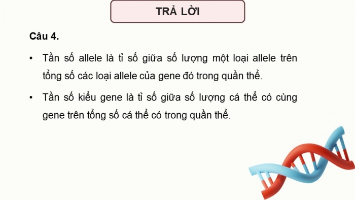 Giáo án điện tử Sinh học 12 kết nối Bài 18: Di truyền quần thể