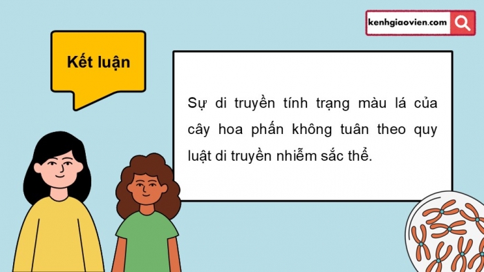 Giáo án điện tử Sinh học 12 cánh diều Bài 9: Di truyền gene ngoài nhân