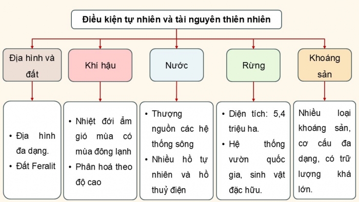 Giáo án điện tử Địa lí 9 chân trời Bài 10: Thực hành Vẽ sơ đồ thể hiện các thế mạnh về tự nhiên để phát triển kinh tế - xã hội của vùng Trung du và miền núi Bắc Bộ