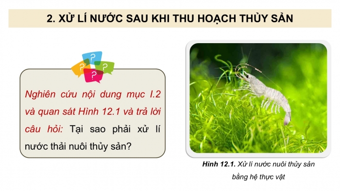 Giáo án điện tử Công nghệ 12 Lâm nghiệp - Thủy sản Kết nối Bài 12: Biện pháp xử lí môi trường nuôi thuỷ sản