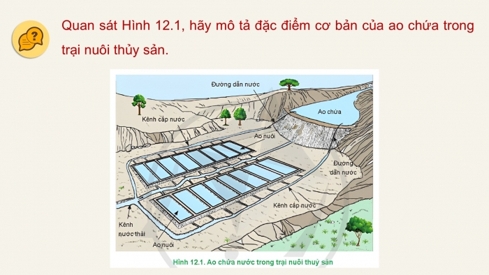 Giáo án điện tử Công nghệ 12 Lâm nghiệp Thủy sản Cánh diều Bài 12: Quản lí môi trường nuôi thuỷ sản