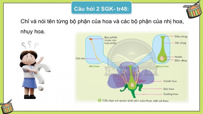 Giáo án điện tử Khoa học 5 chân trời Bài 13: Sự sinh sản của thực vật có hoa