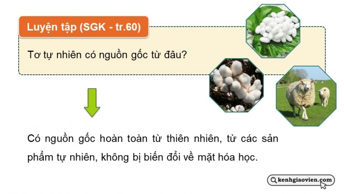 Giáo án điện tử Hoá học 12 chân trời Bài 11: Tơ – Cao su – Keo dán tổng hợp