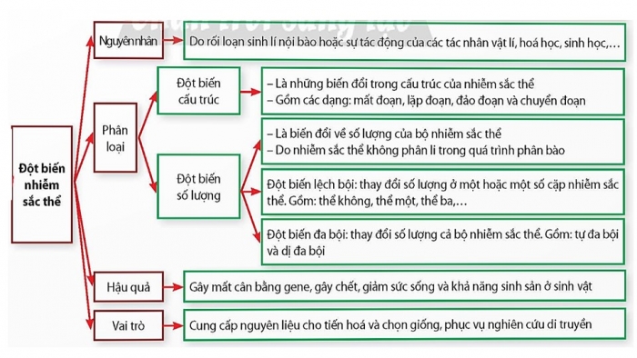 Giáo án điện tử Sinh học 12 chân trời Bài Ôn tập Chương 1