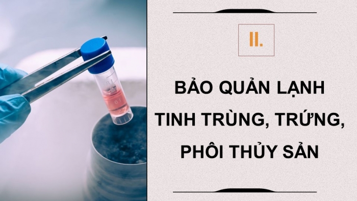 Giáo án điện tử chuyên đề Công nghệ 12 Lâm nghiệp Thuỷ sản Kết nối Bài 7: Ứng dụng công nghệ sinh học trong sản xuất giống thuỷ sản