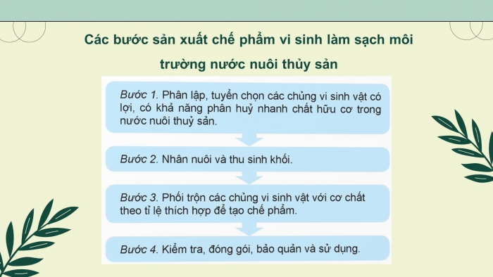 Giáo án điện tử chuyên đề Công nghệ 12 Lâm nghiệp Thuỷ sản Kết nối Bài 9: Ứng dụng công nghệ sinh học trong quản lí môi trường nước nuôi thuỷ sản