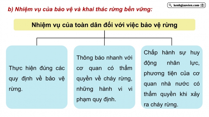 Giáo án điện tử Công nghệ 12 Lâm nghiệp - Thủy sản Kết nối Bài ôn tập chương III