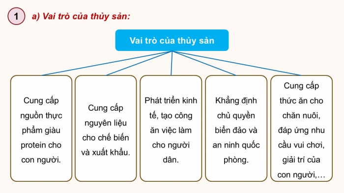 Giáo án điện tử Công nghệ 12 Lâm nghiệp - Thủy sản Kết nối Bài ôn tập chương IV