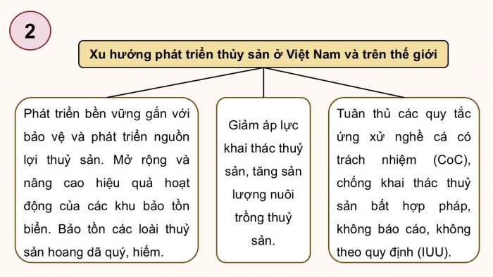 Giáo án điện tử Công nghệ 12 Lâm nghiệp Thủy sản Cánh diều Bài Ôn tập chủ đề 4