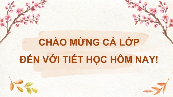 Giáo án điện tử Công nghệ 9 Trồng cây ăn quả Kết nối Bài 3: Kĩ thuật trồng và chăm sóc cây ăn quả có múi