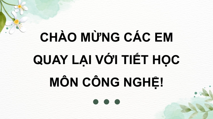 Giáo án điện tử Công nghệ 9 Trồng cây ăn quả Kết nối Bài 4: Kĩ thuật trồng và chăm sóc cây nhãn