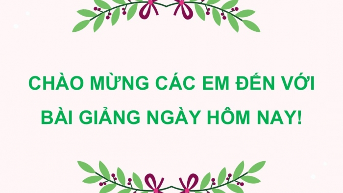 Giáo án điện tử Ngữ văn 9 chân trời Bài 4: Thực hành tiếng Việt