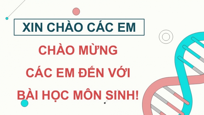 Giáo án điện tử KHTN 9 chân trời - Phân môn Sinh học Bài 39: Quá trình tái bản, phiên mã và dịch mã