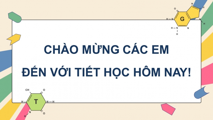 Giáo án điện tử Sinh học 12 chân trời Bài 9: Di truyền gene ngoài nhân