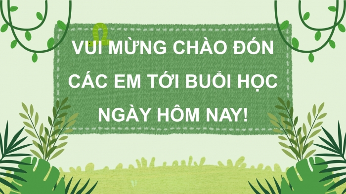 Giáo án điện tử Tiếng Việt 5 chân trời Bài 4: Ngày xuân Phố Cáo