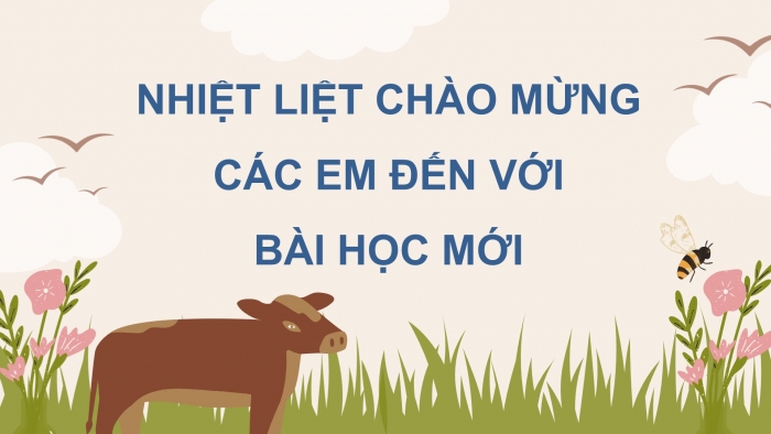 Giáo án điện tử Tiếng Việt 5 chân trời Bài 6: Ngôi nhà chung của buôn làng