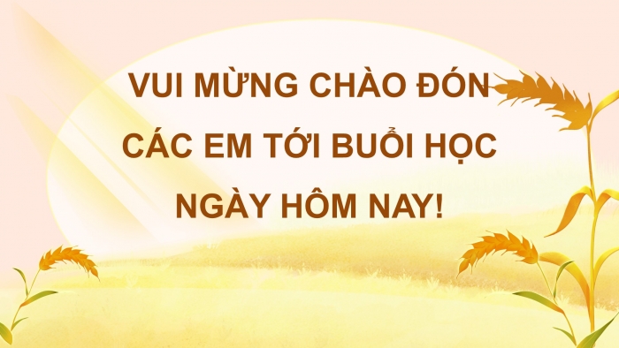 Giáo án điện tử Tiếng Việt 5 chân trời Bài 8: Từ những cánh đồng xanh