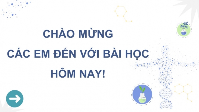 Giáo án điện tử Sinh học 12 kết nối Bài 10: Di truyền giới tính và di truyền liên kết với giới tính