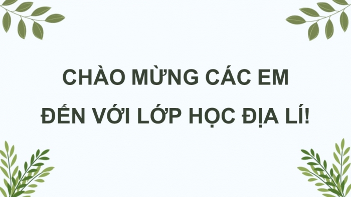 Giáo án điện tử Địa lí 12 chân trời Bài 13: Vấn đề phát triển lâm nghiệp và thuỷ sản