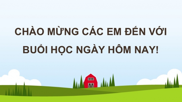 Giáo án điện tử Địa lí 12 chân trời Bài 14: Tổ chức lãnh thổ nông nghiệp