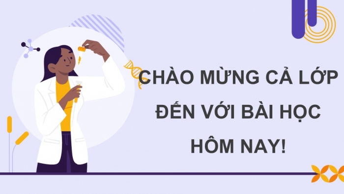 Giáo án điện tử Sinh học 12 kết nối Bài 13: Di truyền học người và di truyền y học