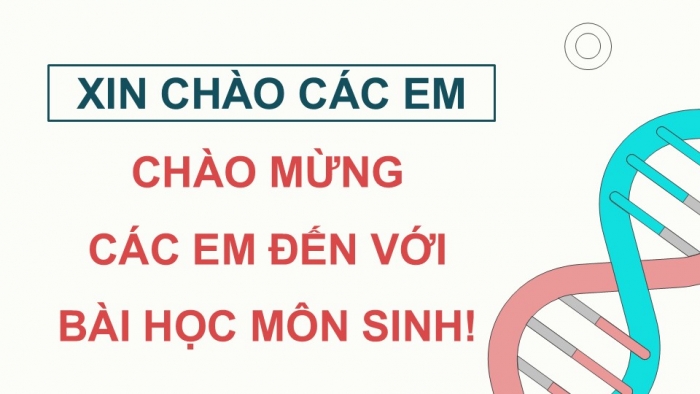 Giáo án điện tử Sinh học 12 cánh diều Bài 9: Di truyền gene ngoài nhân