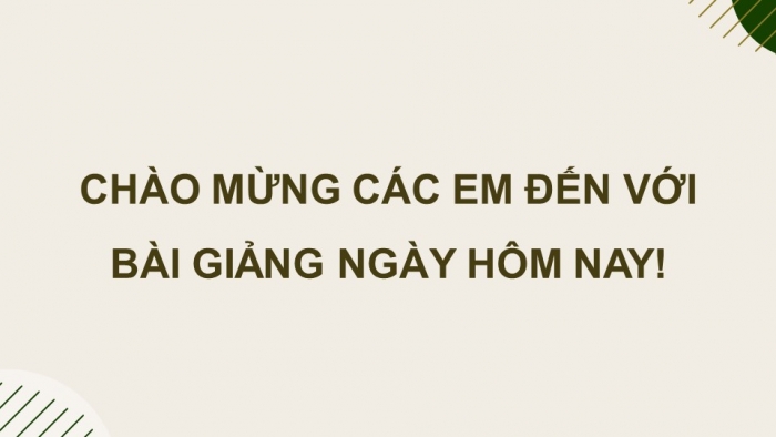 Giáo án điện tử Kinh tế pháp luật 12 chân trời Bài 6: Trách nhiệm xã hội của doanh nghiệp