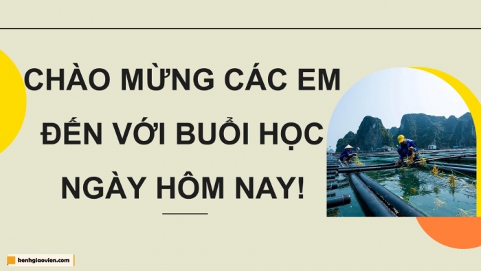 Giáo án điện tử chuyên đề Công nghệ 12 Lâm nghiệp Thuỷ sản Kết nối Bài 6: Một số ứng dụng công nghệ sinh học trong chọn, tạo giống thuỷ sản