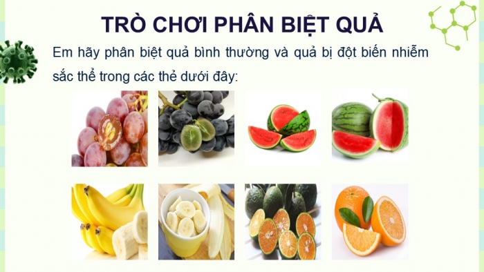 Giáo án điện tử KHTN 9 chân trời - Phân môn Sinh học Bài 41: Cấu trúc nhiễm sắc thể và đột biến nhiễm sắc thể