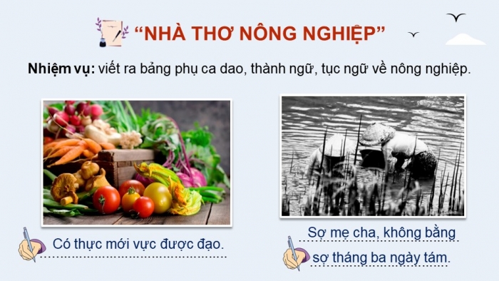 Giáo án điện tử Địa lí 12 cánh diều Bài 10: Vấn đề phát triển nông nghiệp, lâm nghiệp và thủy sản